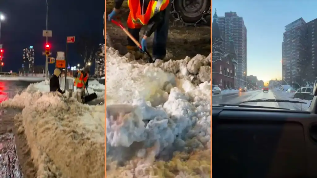 New Yorker Becomes a Mamdani Snow Scooper and Shares All the Details, ‘Thank u for documenting’ New Yorker Becomes a Mamdani Snow Scooper and Shares All the Details, 'Omg thank u for documenting I was wondering'