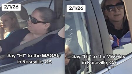 Outraged Trumpers Flip Off Individuals at California Mall Music Festival Protest