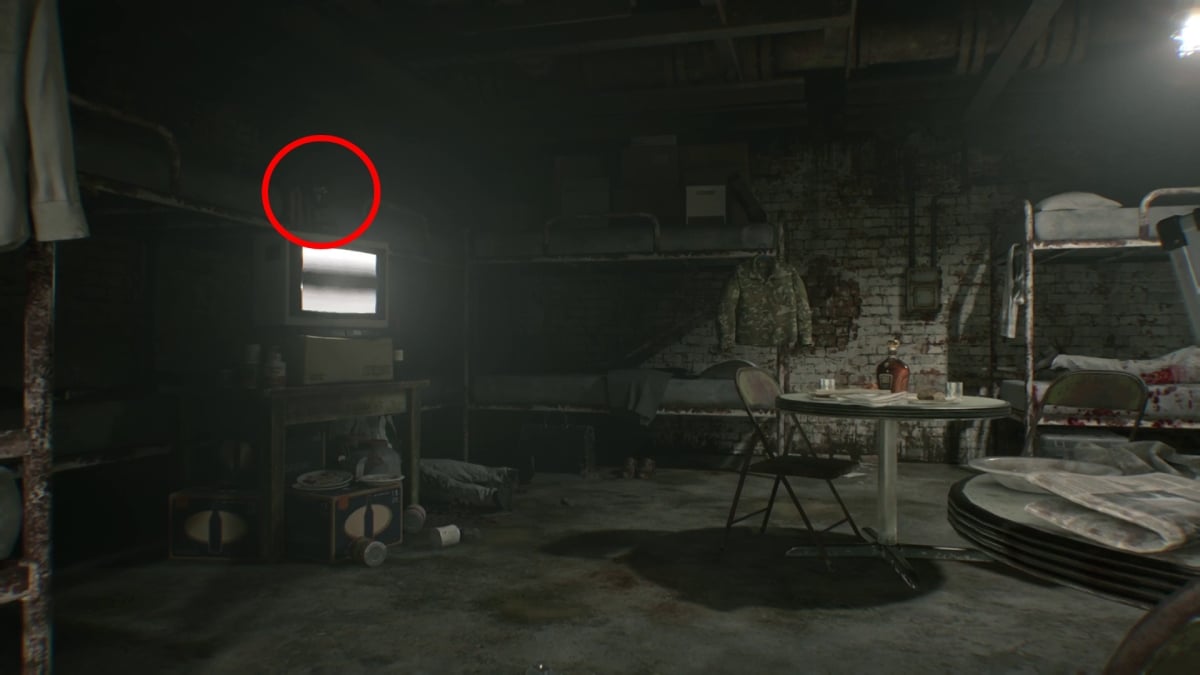 Mr Raccoon in staff room