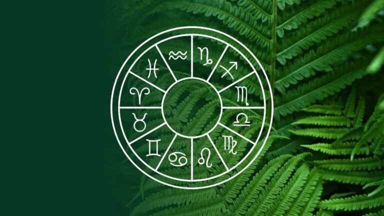 Today’s Horoscope: February 15th – Accept Responsibility for Your Life Today's Horoscope: February 15th – Accept Responsibility for Your Life