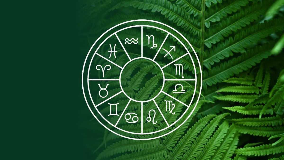 Today’s Horoscope: February 15th – Accept Responsibility for Your Life