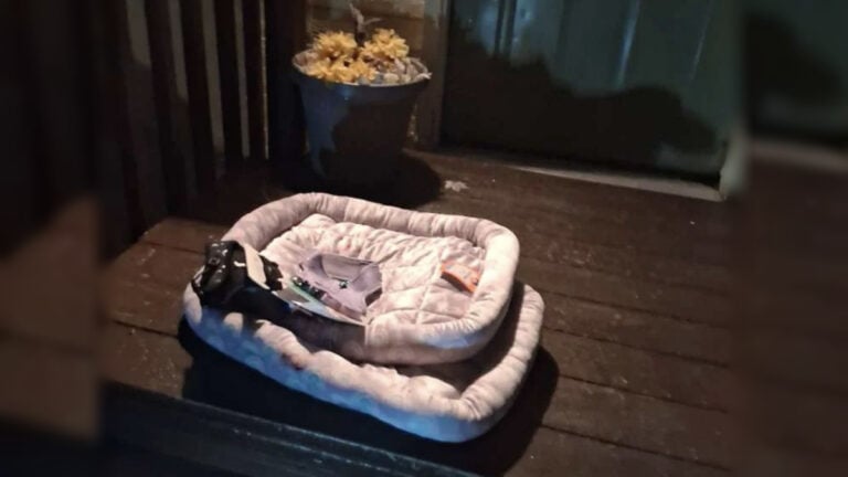 Washington Woman Receives Shocking DoorDash Delivery Covered in Driver’s Blood