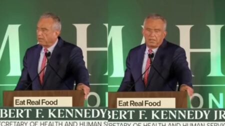 A picture of RFK Jr.