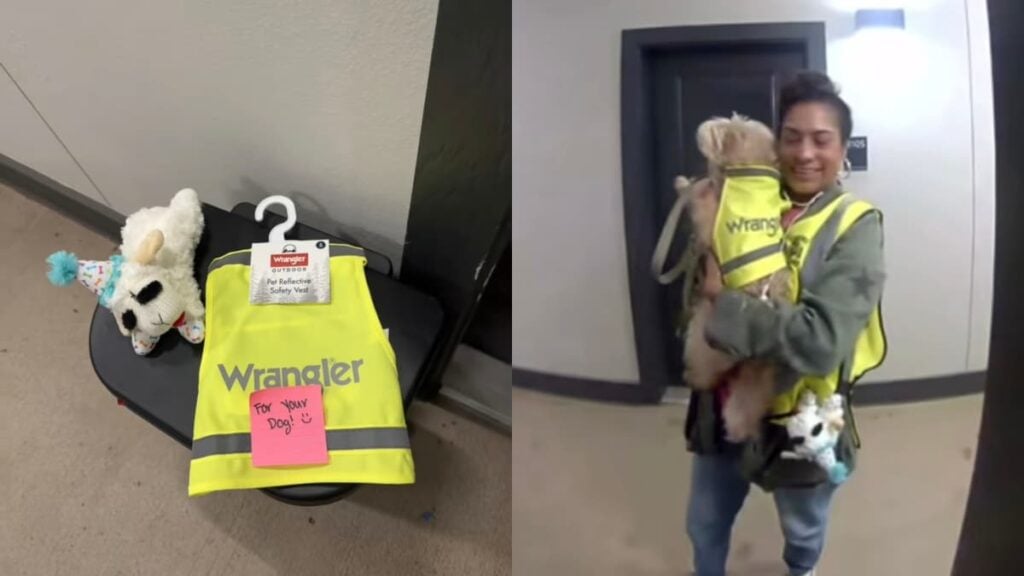 Trash Collector’s Dog Gets Matching Work Vest After Texas Doorbell Camera Video Goes Viral: ‘You Made Her Feel So Seen in a Thankless Job’ A picture of the Texas trash lady.