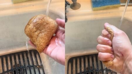 A picture taken by the New Hampshire woman.