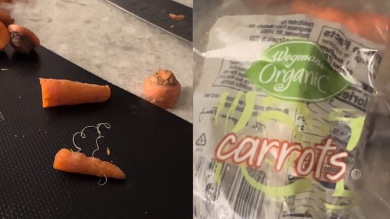 New Jersey Woman Left Terrified After Finding Long Worm Crawling on Her Wegmans Carrots: ‘This Is Why I Eat Doritos’ A picture taken by the New Jersey woman.