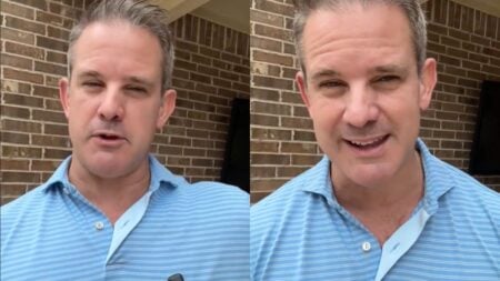 dinah chollet arrested for anti ICE protest