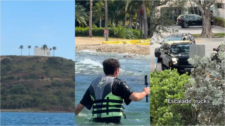 Epstein island influencer