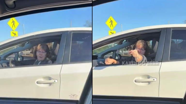 Florida Karen Throws Fit Because Someone Went Around Her in Traffic: ‘Who Would Have Guessed Florida’