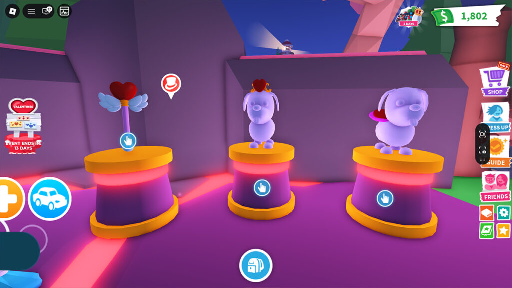 Valentine's Update Pet Accessories and Toys