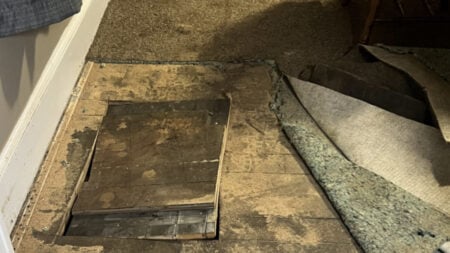 West Virginia Woman Cuts Hole in Dining Room Floor to Rescue Trapped 80-Year-Old Neighbor's Dog