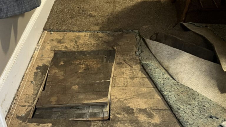 West Virginia Woman Cuts Hole in Dining Room Floor to Rescue Trapped 80-Year-Old Neighbor's Dog