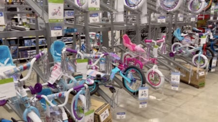 Hawaii Local Government Passes Law Requiring Children to Have ‘Paid Licenses’ to Ride Their Bikes