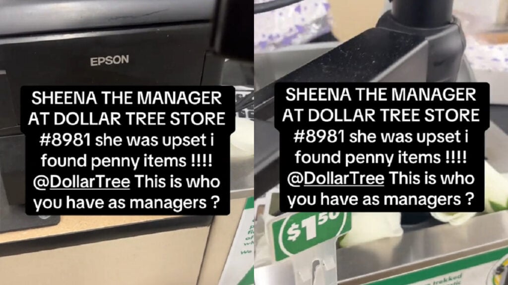 Pennsylvania Woman Gets Two-For-One Deal at Dollar Tree, Penny Items and a Karen's Scorn, 'She's fighting like it's her things'