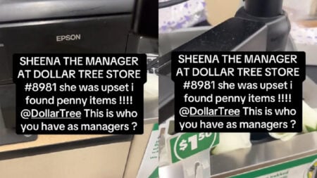 Pennsylvania Woman Gets Two-For-One Deal at Dollar Tree, Penny Items and a Karen's Scorn, 'She's fighting like it's her things'