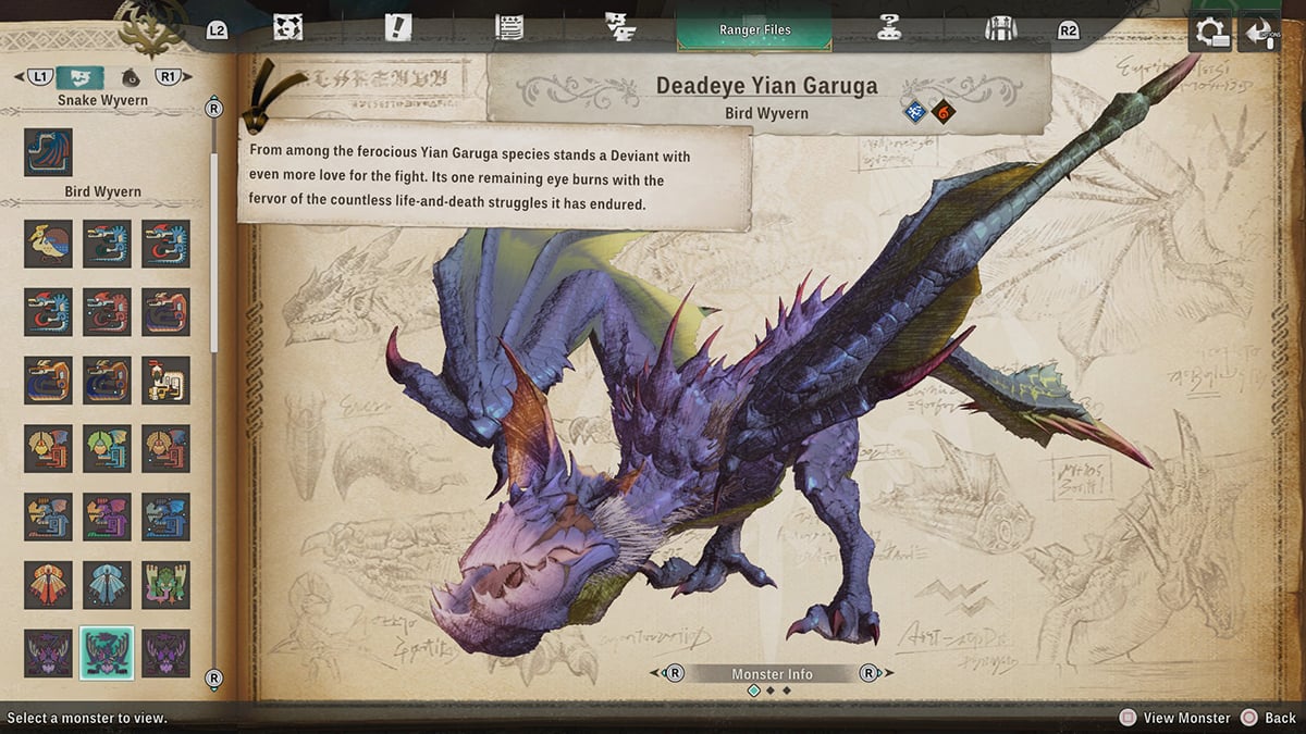 Bird Wyverns Move Types and Weaknesses