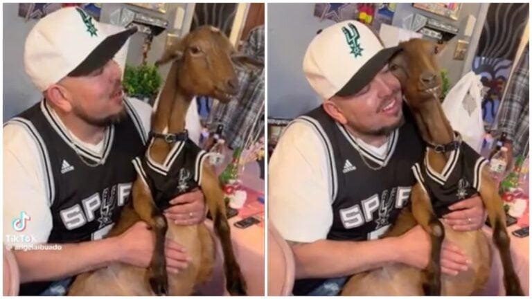 Texas family go viral at smiling goat's birthday celebration