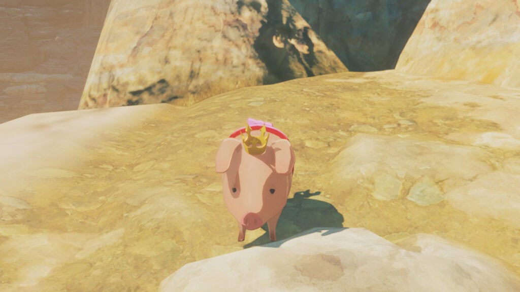 All 100 Poogie Locations in Monster Hunter Stories 3