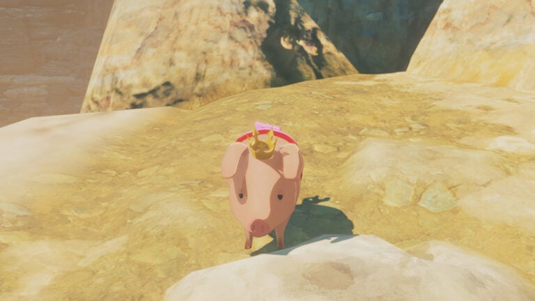 All 100 Poogie Locations in Monster Hunter Stories 3