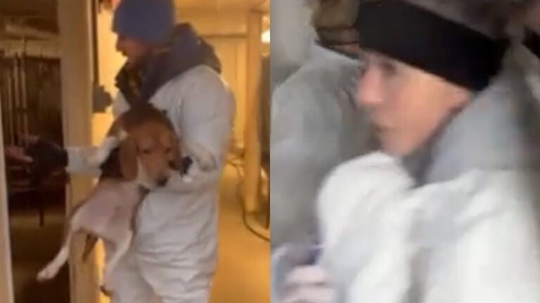 Activists Break Into Wisconsin Breeding Facility, Claim Rescue of 23 Beagles, ‘How Come Its Always Beagles’