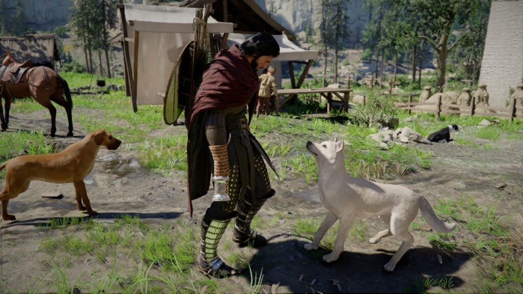 Crimson Desert Befriend Cats and Dogs