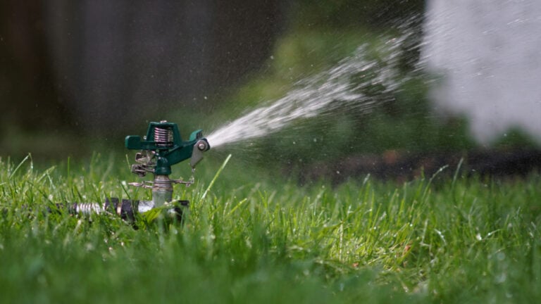 Florida Couple Contaminates Neighbor's Water to Keep Their Lawn Green