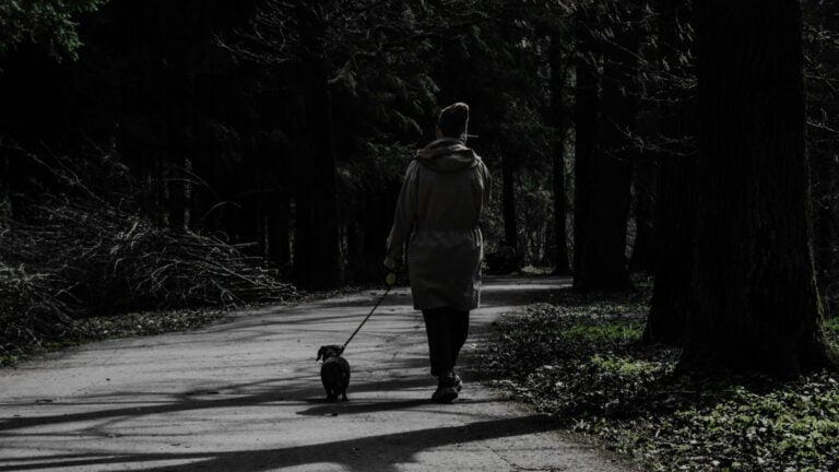 Washington Woman Fights Back Mentally Disabled Adult After He Allegedly Tried to Stomp on Her Dog