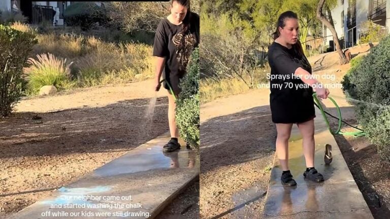 A picture of the Arizona Karen.