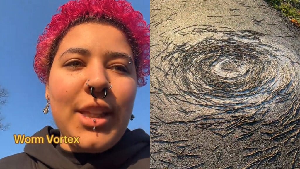 Texas Woman Spots Strange Spiral… Then Notices It’s Alive, ‘Death Circle’ Texas Woman Spots Strange Spiral… Then Notices It’s Alive, ‘Death Circle’