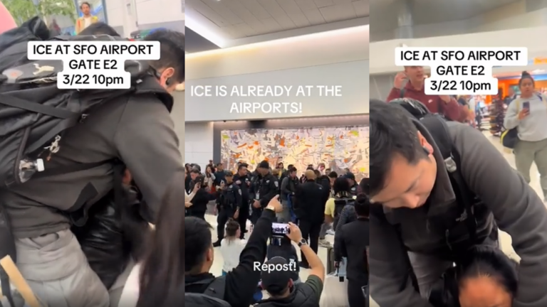 ICE Agents Accused of ‘Causing Havoc’ at San Francisco Airport: ‘That’s Gonna Be Great for Tourism’