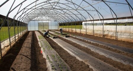 Denver water restrictions spark debate once again