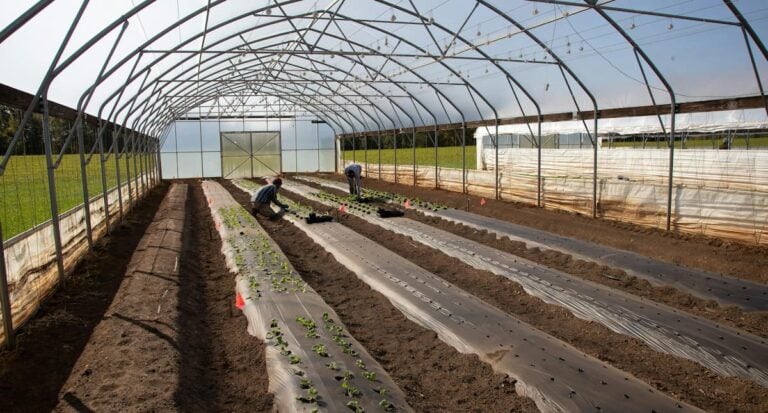 Denver water restrictions spark debate once again