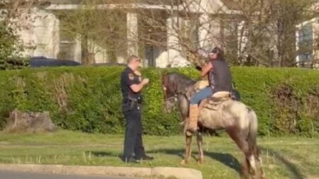 Horse Rider DUI in Kentucky