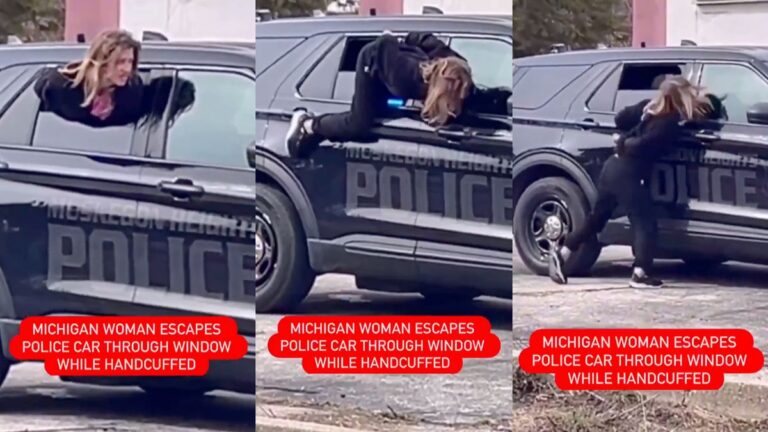 ‘She Deserves Her Freedom’: Michigan Detainee Pulls Off Handcuffed Escape Through Police Car Window