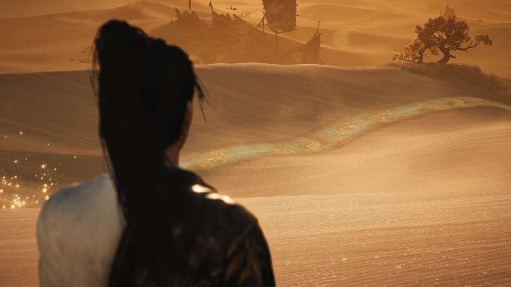 Where Winds Meet Hexi