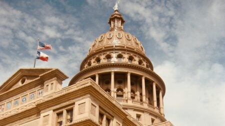 Texas blue wave sparks scepticism