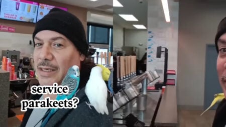 Man Claims Dunkin’ Refused Him Coffee Because of ‘Service Parakeets’ in Massachusetts: ‘Quit Hassling People’