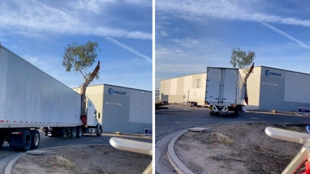 Arizona Trucker Dragging a Tree