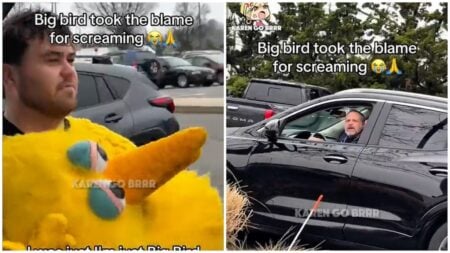 Big Bird gets into altercation in NYC