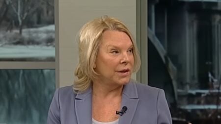 Minnesota Democrats have proposed a new wealth tax, prompting sharp criticism from Republican Rep. Patti Anderson during a House committee hearing. She warned the plan is driving residents and investment out of the state. The clip is now fueling heated debate online.