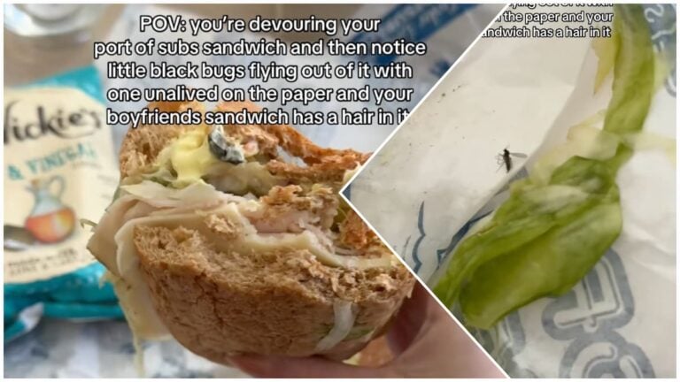 Nevada woman finds bugs in her sandwich from Port of Subs
