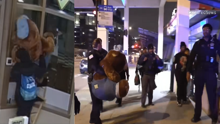 Illinois Teddy Bear Rescue Causes Controversy