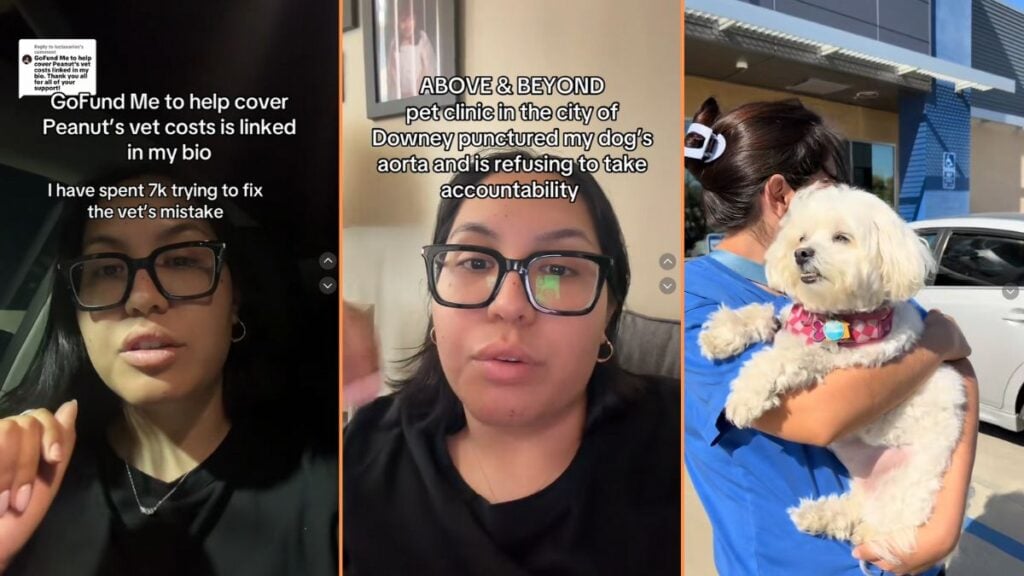 Upset California Woman Accuses Pet Clinic of Causing Her Dog to Go Into Shock: ‘Your Frustration is Valid’ Upset California Woman Accuses a Pet Clinic of Causing Her Dog to Go Into Shock 'Your Frustration is Valid'