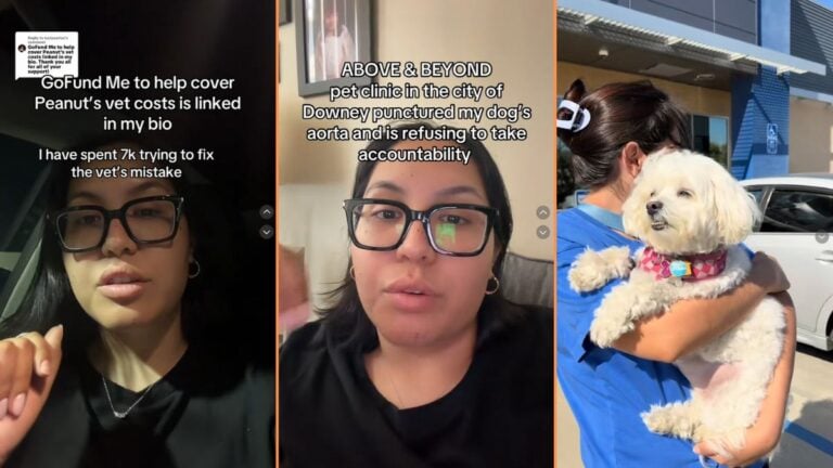 Upset California Woman Accuses a Pet Clinic of Causing Her Dog to Go Into Shock 'Your Frustration is Valid'