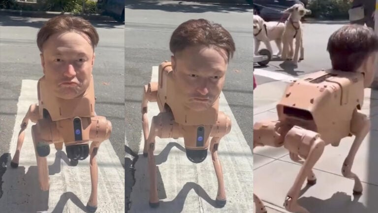 Robot Dog Elon Musk Face Outrage