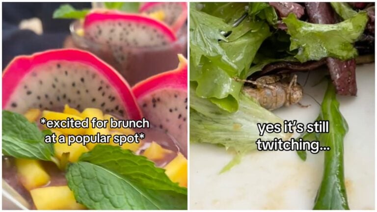 California woman allegedly finds locust in her salad