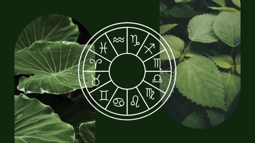 Today’s Horoscope: April 15th – The Process of Converting Repose Into Action Today's Horoscope: April 15th - The Process of Converting Repose Into Action