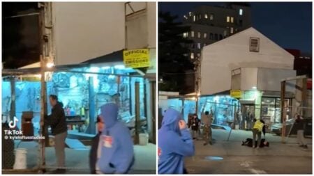 New York woman struck by falling fence in viral video