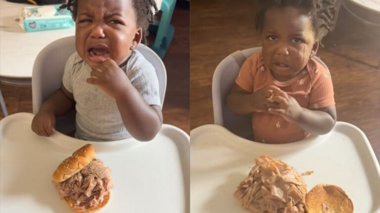 Florida Dad Feeds Toddler Arbys Sandwich