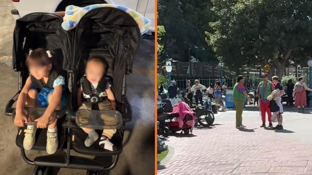 Disappointed Mother Has Stroller Stolen at Disneyland, California: ‘My biggest Disney fear’ Disappointed Mother Has Stroller Stolen at Disneyland, California 'My biggest Disney fear'